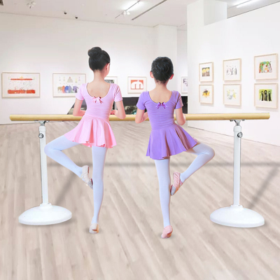 北極興舞蹈把桿家用移動式專業(yè)練舞教室內(nèi)練功桿子舞蹈房跳舞兒童壓腿桿