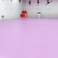 北极兴舞蹈PVC塑胶地板发泡底/同质透心